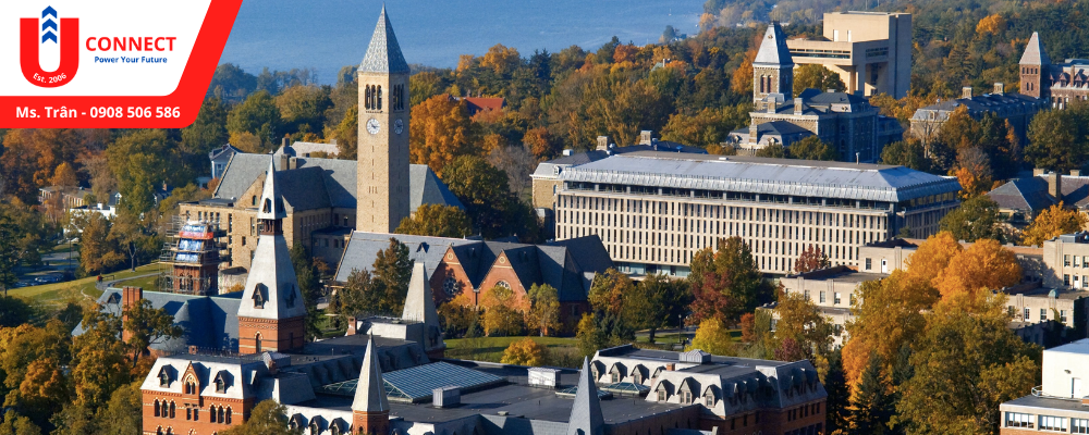 Giới thiệu trường đại học Cornell